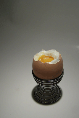 egg